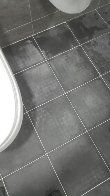5c40fb73e47d8cbbb9fbd9f3c39b0e25.jpg